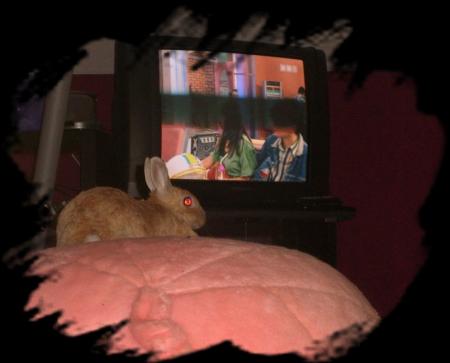 Les 25 ans de mon Cho�l !!!