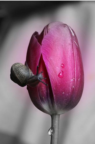 Pens�es du dimanche soir ...